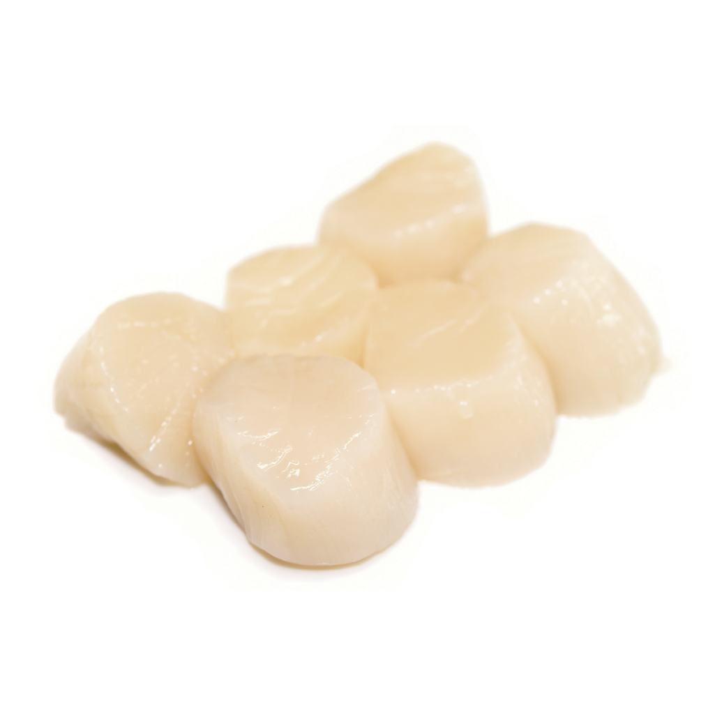 Callo de hacha1 kg – Central a Domicilio
